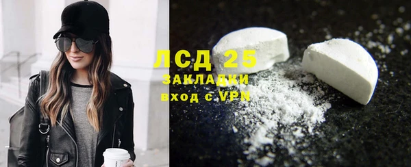 стаф Ростов
