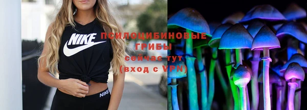 мяу мяу мука Сафоново