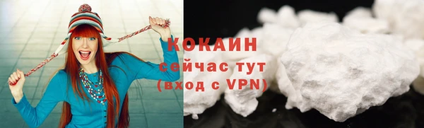 дживик Россошь