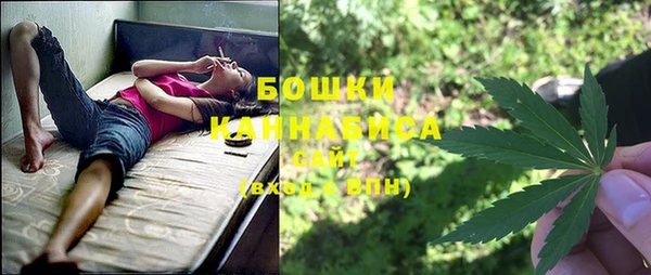 стаф Ростов