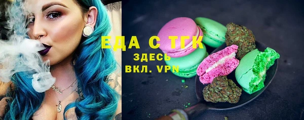 стаф Ростов