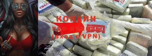 дживик Россошь