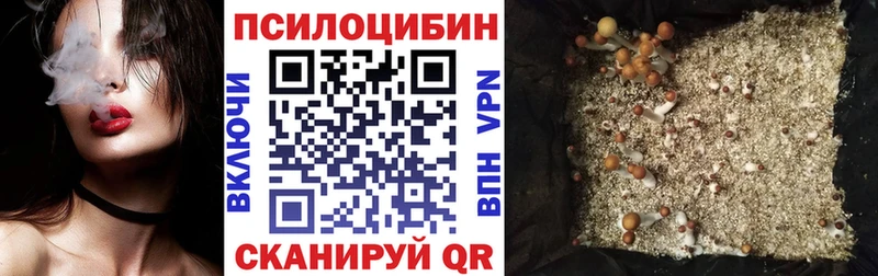Купить где  Махачкала  Псилоцибиновые грибы GOLDEN TEACHER 